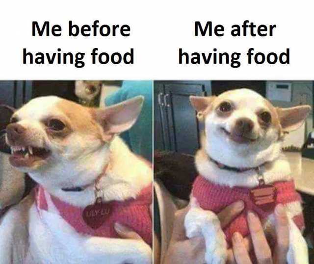 The magic of “Food”