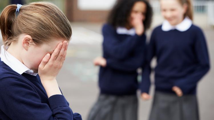 Bullying – Getting Terms with It