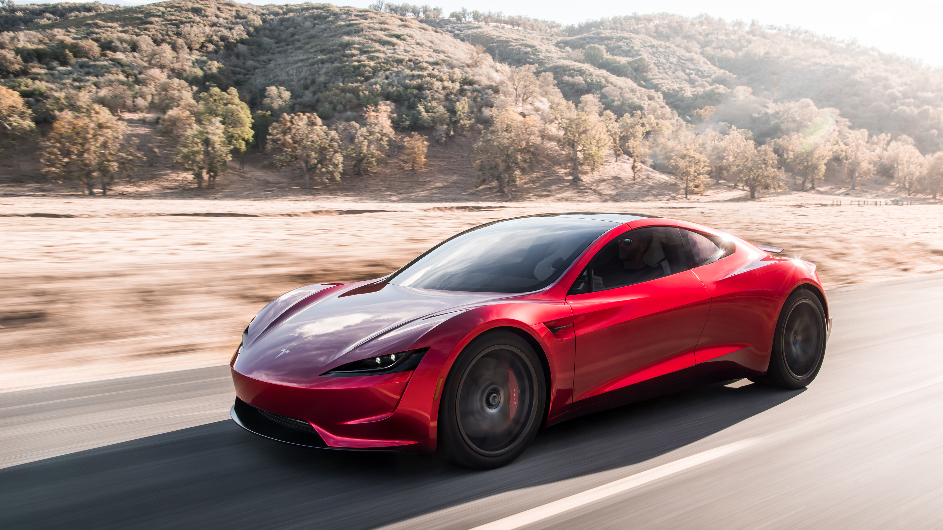 Tesla Roadster - Elon Musk