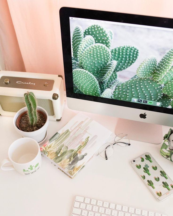 Plants You Can Grow In Your Dorm Room