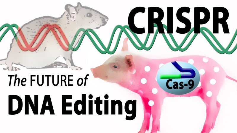 Dissent of Mortality CRISPR Gene Editting