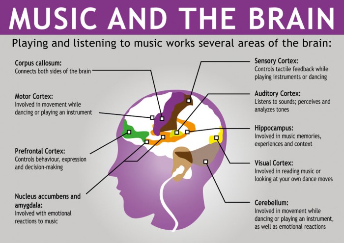 Neural Music affects different regions of brain