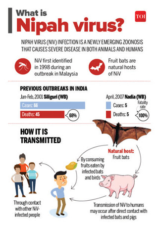 Nipah Virus