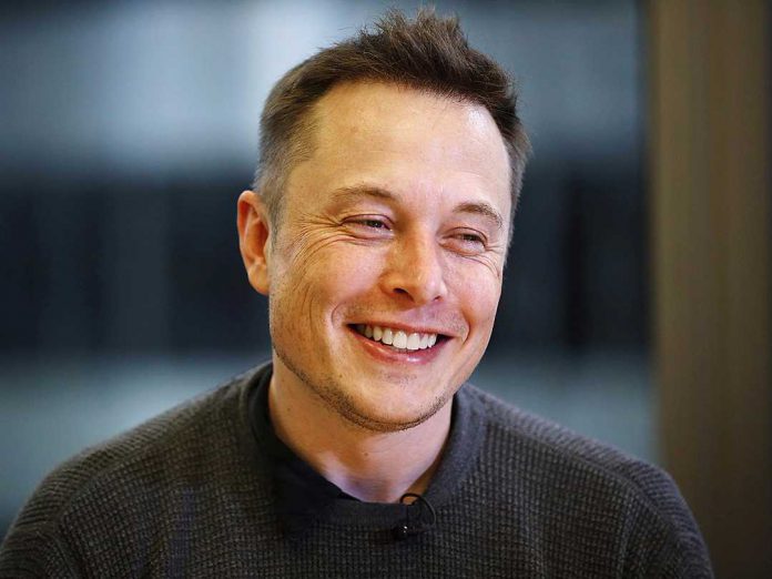 A Neoteric Human - Elon Musk