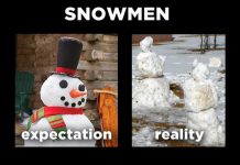 Winter Expectation v/s Reality