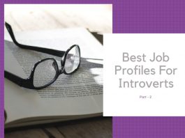 Best Job Profiles For Introverts -2