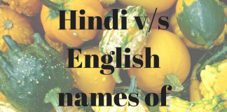 Hind vs English names of popular Indian food-min