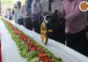 LPU School of Hotel Management creates Longest Salad Bar