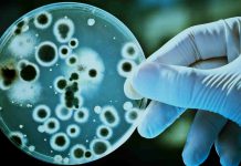 Career Prospects and Scope of Biotechnology Scope of Biotechnology