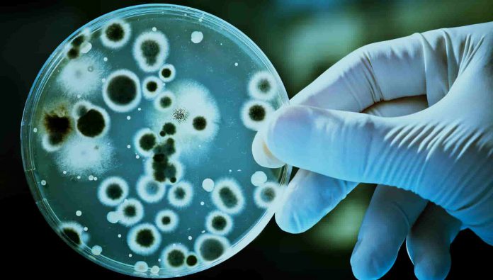 Scope of Biotechnology