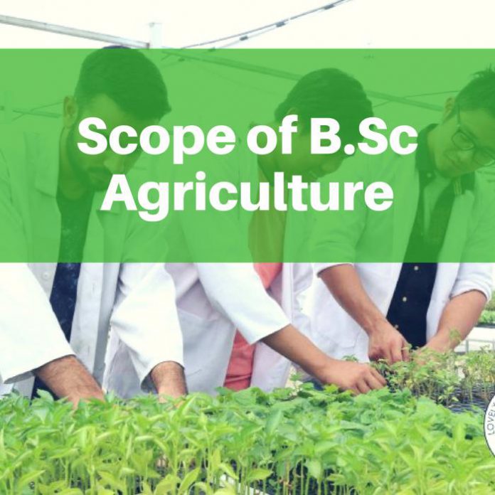 Scope of B.Sc Agriculture