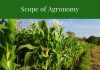 Scope and Career Prospects of Agronomy