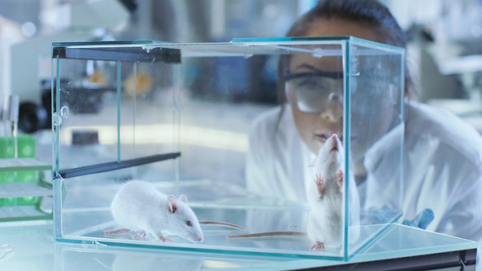 animal-medical-research-hero