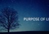 purpose