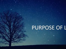 purpose