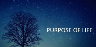 purpose