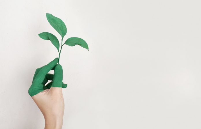 A step towards personal growth
