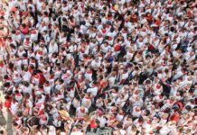 Bandwagon Effect
