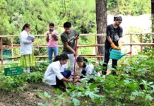 BSC Hons Agriculture