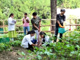 BSC Hons Agriculture